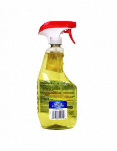 WINDEX MULTISURFACE... 2