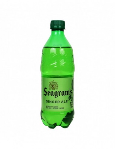 SEAGRAM'S GINGER ALE 20 FL OZ