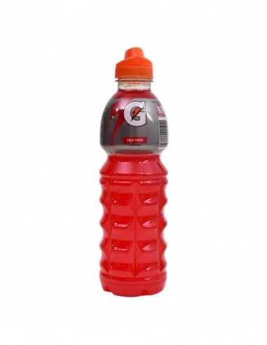 GATORADE PUNCH 24OZ