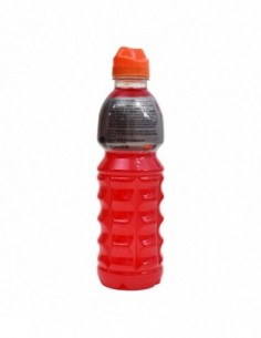 GATORADE PUNCH 24OZ 2