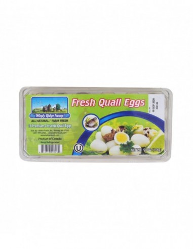 FRESH QUAIL EGGS 18 PREMIUM COTURNIX...