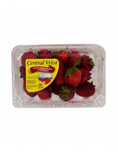 CENTRAL WEST STRAWBERRIES FRAISES