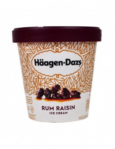 HAAGEN DAZS RUM RAISIN ICE CREAM