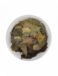 BAY LEAVES