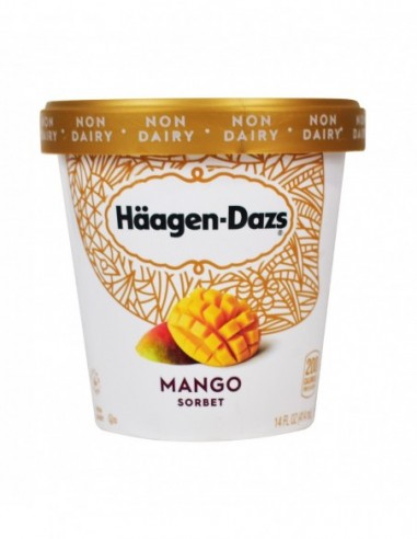 HAAGEN DAZS MANGO SORBET 14FL OZ