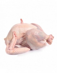 TURKEY/ PERU INTEIRO